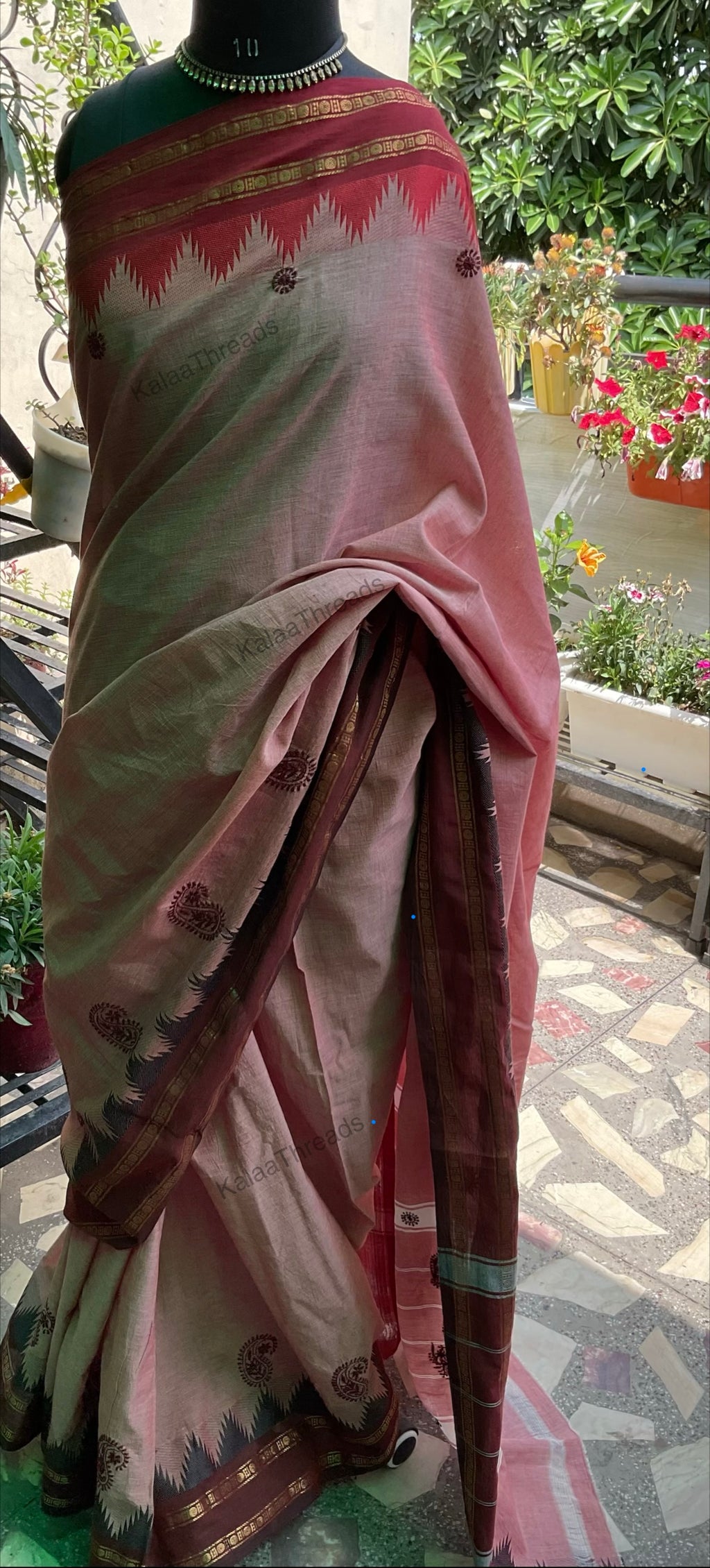 Pure Handloom Cotton Saree with Chikankari
