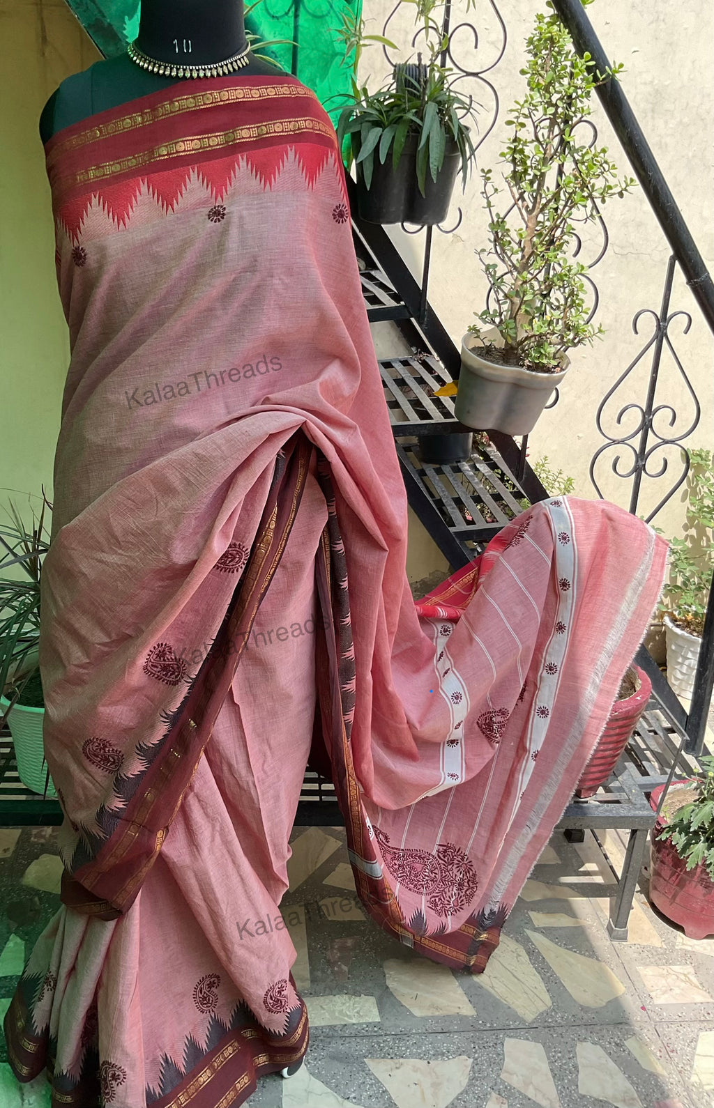 Pure Handloom Cotton Saree with Chikankari