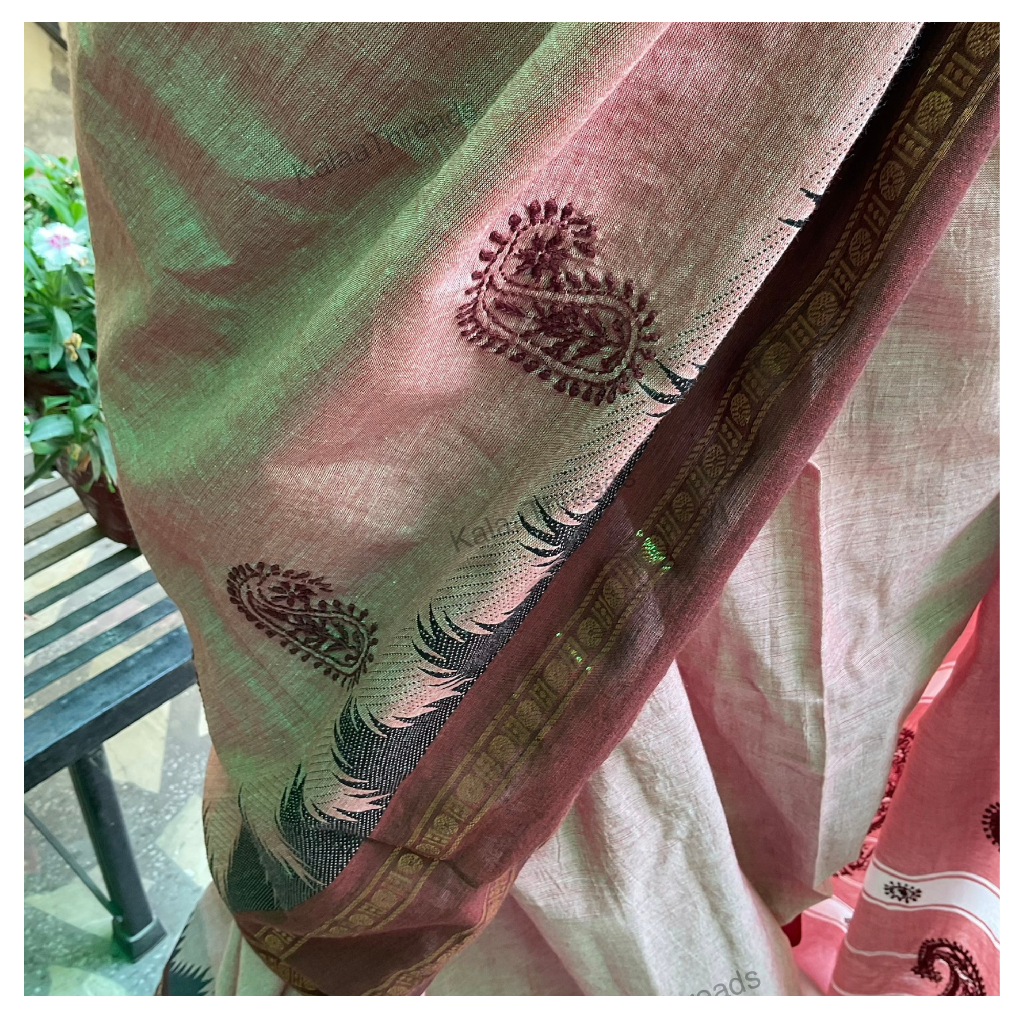 Pure Handloom Cotton Saree with Chikankari